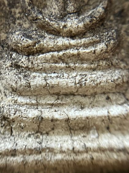 สมเด็จไม่ทราบที่ รูปที่ 7