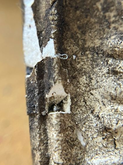 สมเด็จไม่ทราบที่ รูปที่ 9