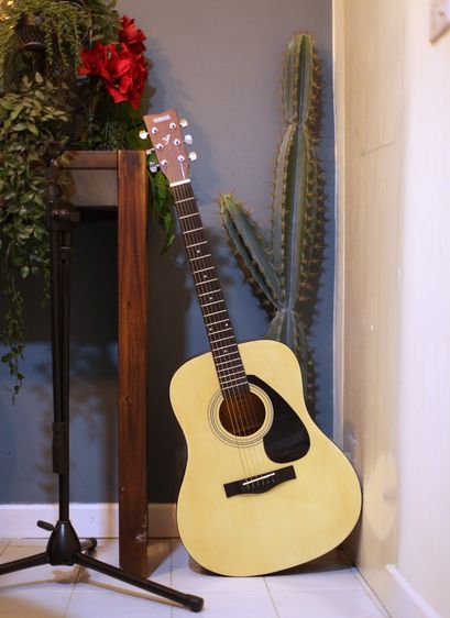 Yamaha F310