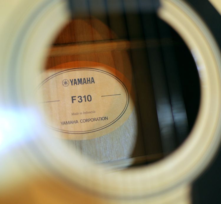 Yamaha F310 รูปที่ 7