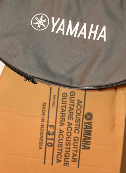 Yamaha F310 รูปที่ 2