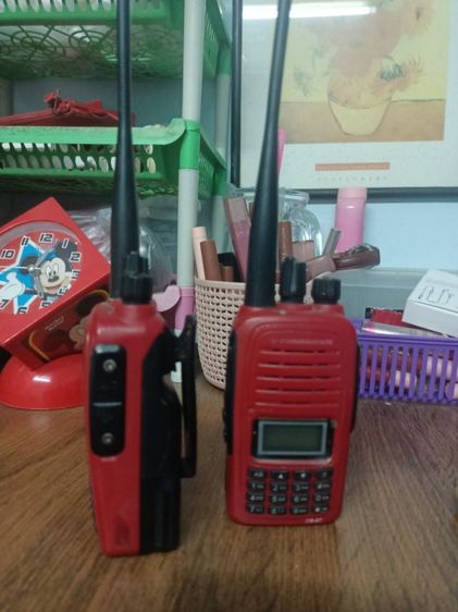 วอแดง 2 ตัว รูปที่ 2