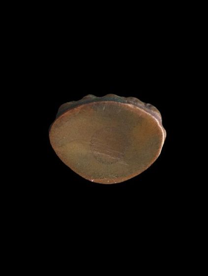 กริ่งวิบูลย์สุข วัดบวรฯ 2529. รูปที่ 5