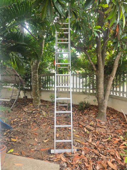 บันไดพับได้อลูมิเนียม 24 ขั้น 6.9M ข้อใหญ่ BG34X6 ข รูปที่ 8