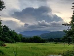 ที่นา28.5ไร่ ติดถนน 1211(เด่นห้าดงมะดะ กม17)หน้ากว้าง168เมตร รูปที่ 3