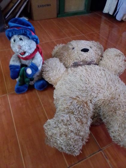 ตุ๊กตาผ้าขน ขายตุ๊กตาร้องเพลงและตุ๊กตาหมี  2 ตัวราคา 500 บาท