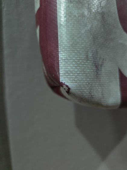 ขาย กระเป๋า Freitag รุ่น Leland แท้ รูปที่ 5