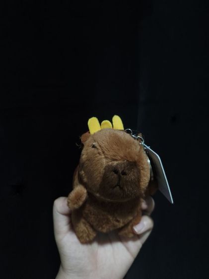 ตุ๊กตาคาบิบาร่า รูปที่ 2