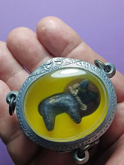 วัวธนู พิมพ์ปั้นหุ่น หลวงพ่อน้อย วัดศรีษะทอง จ.นครปฐม รุ่นเเรก สภาพสวยมาก เจ้าของเก่าเลี่ยมเงินเก่าแล้วแขวนไว้หน้าห้องพระ ไม่ได้ใช้แขวนคอ ส รูปที่ 8