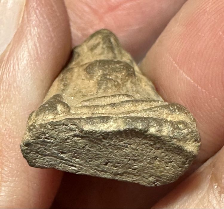 พระผงสุพรรณ พิมพ์หน้าแก่ รูปที่ 8