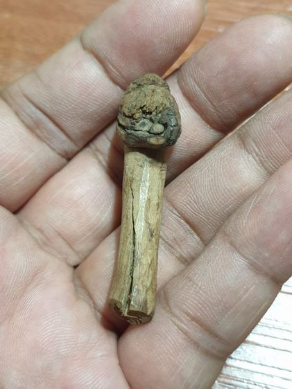 ปลัดขิกหลวงปู่เมฆ และ ปลัดขิก ไม้กาฝาก ไม่ทราบวัดและปีที่ออก สภาพสวยเก่าได้อายุ ปลัดขิกหลวงปู่เมฆ 300 ปลัดขิกไม้กาฝาก 400 สนใจ 2 อันคิด 500 รูปที่ 9