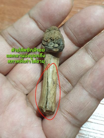 ปลัดขิกหลวงปู่เมฆ และ ปลัดขิก ไม้กาฝาก ไม่ทราบวัดและปีที่ออก สภาพสวยเก่าได้อายุ ปลัดขิกหลวงปู่เมฆ 300 ปลัดขิกไม้กาฝาก 400 สนใจ 2 อันคิด 500 รูปที่ 5