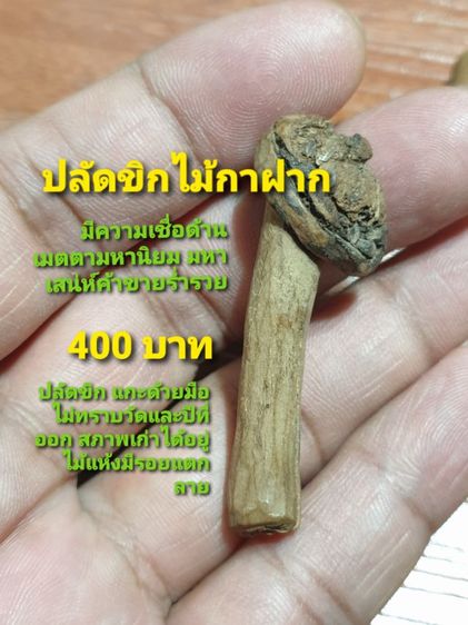 ปลัดขิกหลวงปู่เมฆ และ ปลัดขิก ไม้กาฝาก ไม่ทราบวัดและปีที่ออก สภาพสวยเก่าได้อายุ ปลัดขิกหลวงปู่เมฆ 300 ปลัดขิกไม้กาฝาก 400 สนใจ 2 อันคิด 500 รูปที่ 3