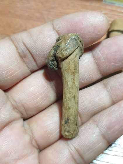 ปลัดขิกหลวงปู่เมฆ และ ปลัดขิก ไม้กาฝาก ไม่ทราบวัดและปีที่ออก สภาพสวยเก่าได้อายุ ปลัดขิกหลวงปู่เมฆ 300 ปลัดขิกไม้กาฝาก 400 สนใจ 2 อันคิด 500 รูปที่ 8