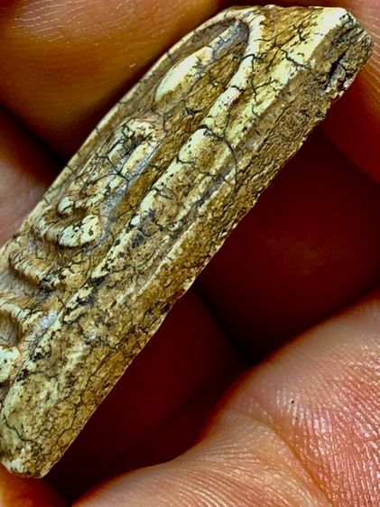 พระเก่าๆ พระเหมาๆบ้านๆ พระคนแก่เก่าๆเก็บ ทิ้งใว้ก่อนจากไป 081-3330446 line tonyabu  รูปที่ 8