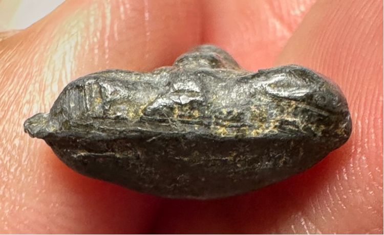 🙏พระปิดตาล.พ.ภู 🙏พระปิดตาล.ป.ศุข องค์ละ 1550 รูปที่ 13