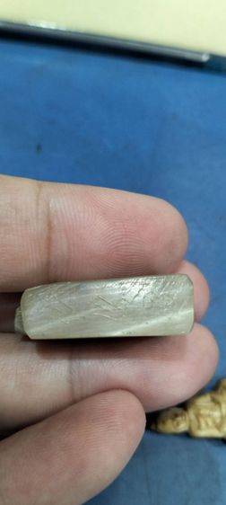 หนูเก่าไม่ทราบที่  รูปที่ 6