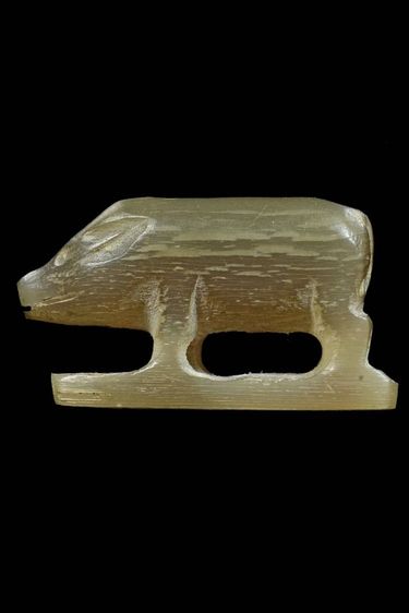 หนูเก่าไม่ทราบที่ 