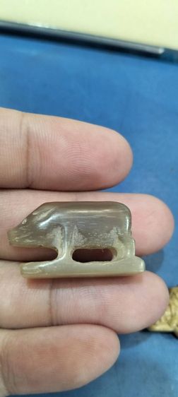 หนูเก่าไม่ทราบที่  รูปที่ 4