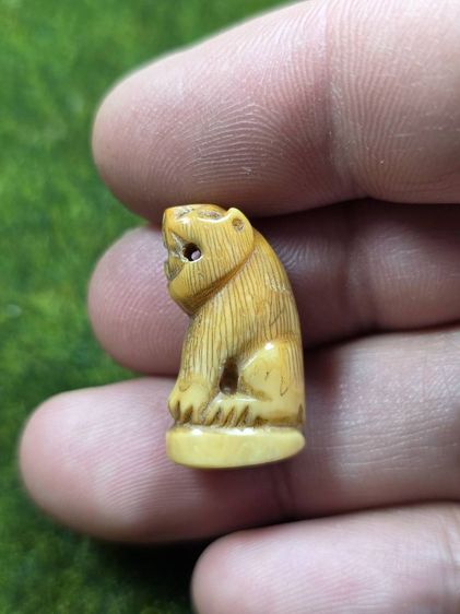 เสือหลวงพ่อปานเก่าๆ รูปที่ 3