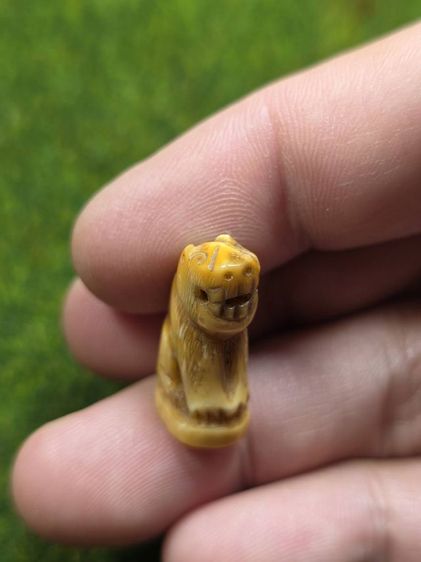 เสือหลวงพ่อปานเก่าๆ รูปที่ 4