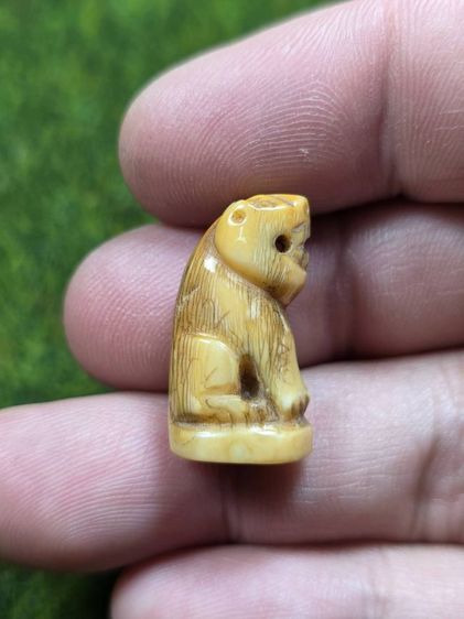 เสือหลวงพ่อปานเก่าๆ รูปที่ 2