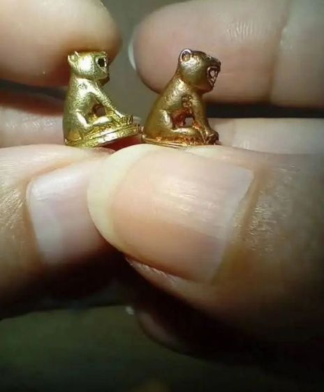 เสือจิ๋วโลหะ หลวงพ่อสมชาย วัดปริวาส ปี 50 รูปที่ 2