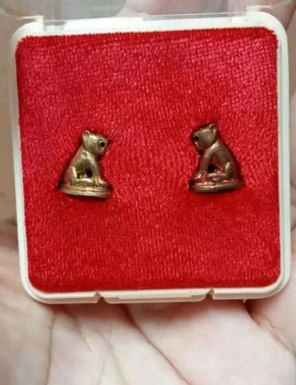 เสือจิ๋วโลหะ หลวงพ่อสมชาย วัดปริวาส ปี 50