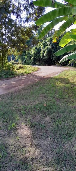 ที่ดินทำเลดีท่ามกลางธรรมชาติที่ลำพูน รูปที่ 3