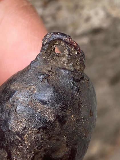 หมากทุยหลวงปู่เอี่ยม รูปที่ 5