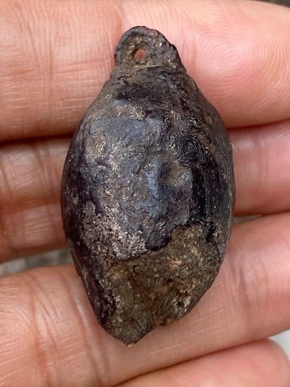 หมากทุยหลวงปู่เอี่ยม รูปที่ 2