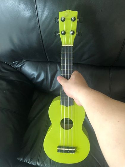 อูคูเลเล่ (Ukulele) รูปที่ 8