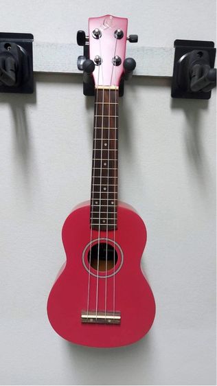 อูคูเลเล่ (Ukulele) รูปที่ 4