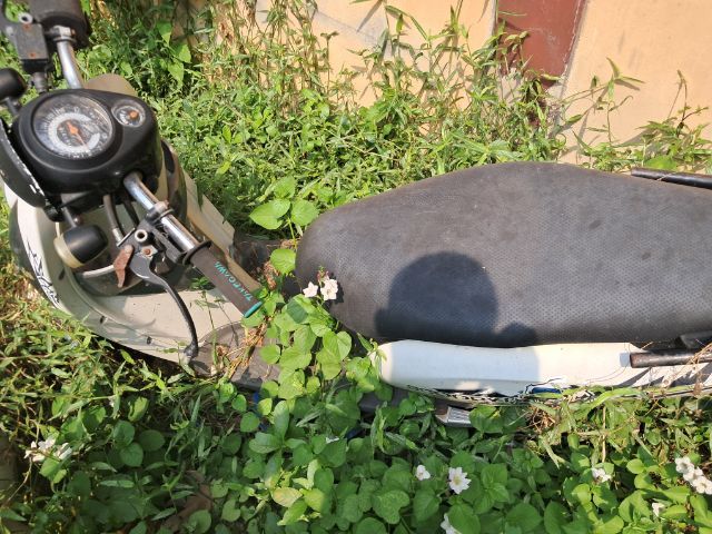 ขายเป็นซากรถมีเเล่ม รูปที่ 3