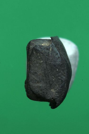 พระรอดค่ะ รูปที่ 5