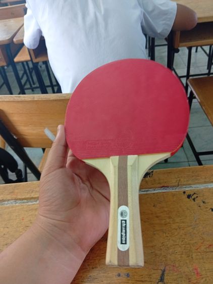 ไม้ปิงปอง รูปที่ 5