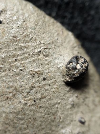 พระรอดลำพูนเนื้อเขียวครับ รูปที่ 9