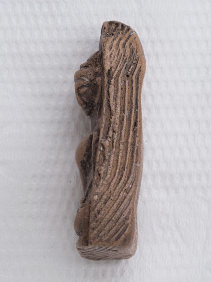 พระผงสุพรรณ 09126809 รูปที่ 4