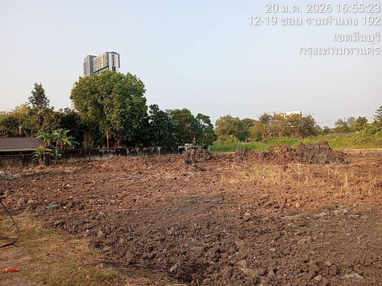 ที่ดิน รูปที่ 3