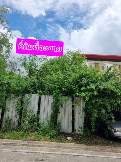 ที่ดินเปล่า รูปที่ 4