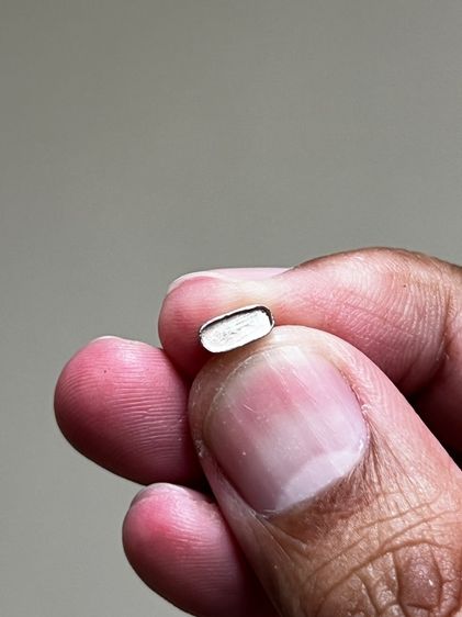 หมูมหาลาภ เนื้อเงิน หลวงพ่อเปิ่น วัดบางพระ ปี41 รูปที่ 4