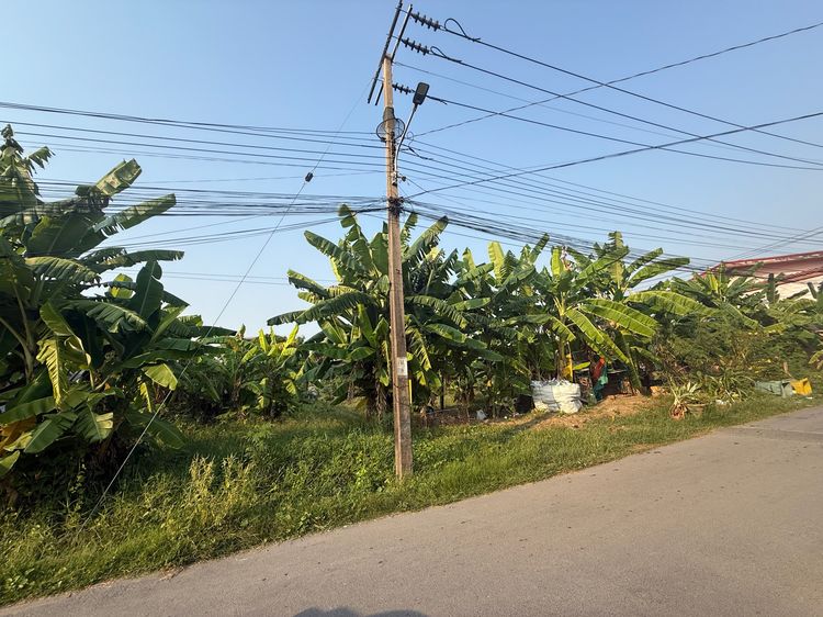 ขายที่ดินถมแล้ว 209 ตารางวา ใกล้บึงหนองบอน สวนหลวง ร.9 รูปที่ 3