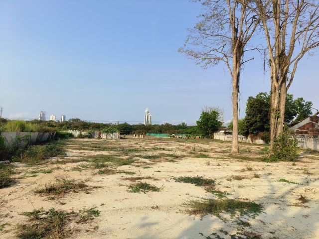 ใช่ ขายที่ดินใกล้หาดจอมเทียน รูปที่ 4