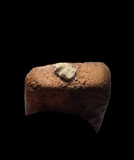 พระเนื้อดิน พิมพ์หลวงพ่อปาน ขี่ครุท อุดผง รูปที่ 5