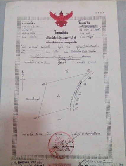 ที่ดินเขาค้อ ทำรีสอร์ต  รูปที่ 2