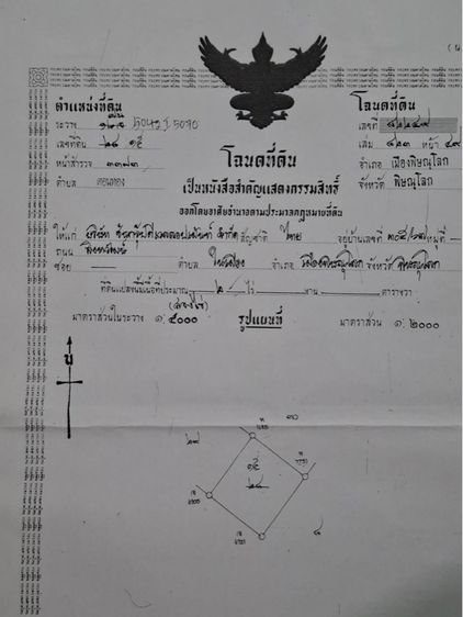 สวนสักทอง ราคาถูก รูปที่ 2