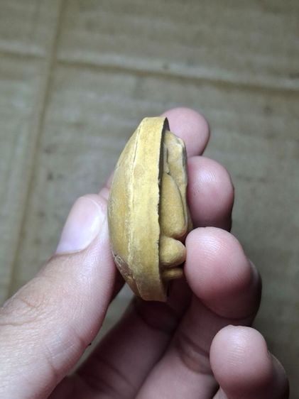 พระปิดตาจัมโบ้ 1 หลวงปู่โต๊ะ รูปที่ 2