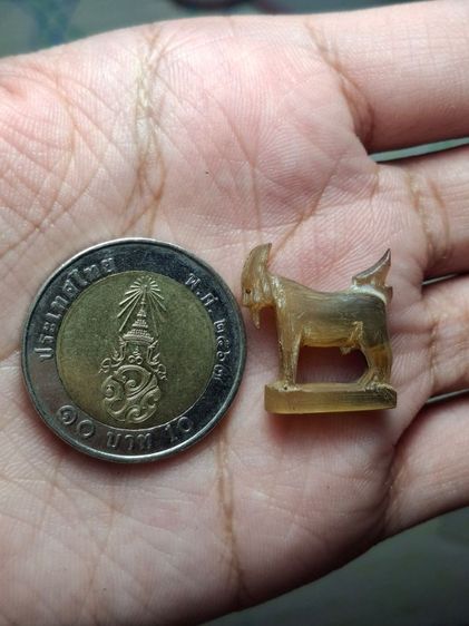 แพะ หลวงพ่ออ่ำ รูปที่ 3