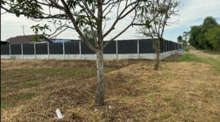 ขายที่ดิน 200 ตรว. บึงบอน 20 ราคาถูก น้ำท่วม พร้อม รูปที่ 3