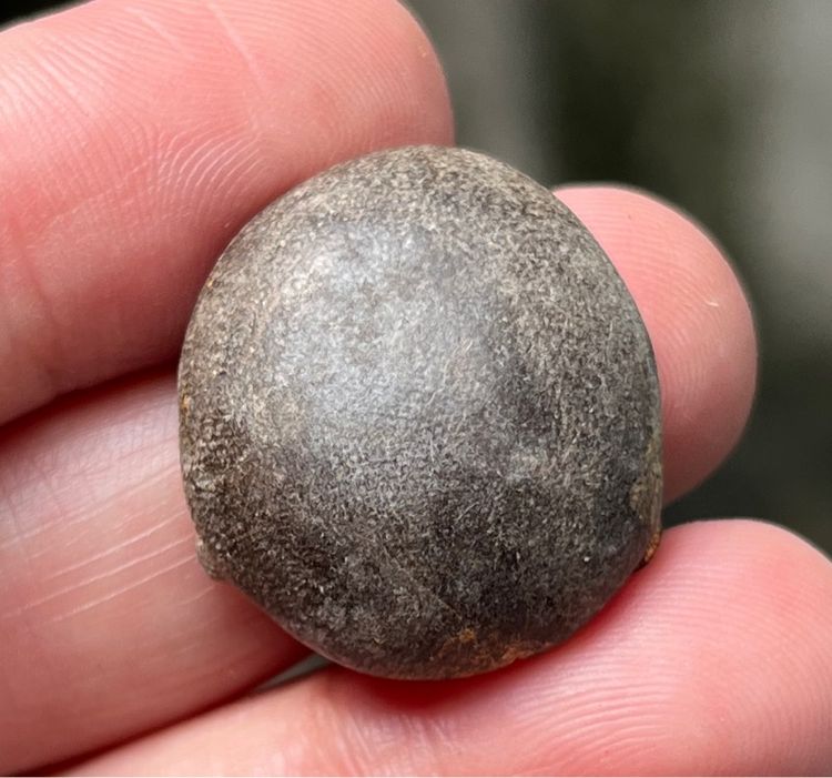 พระปิดตาหลวงพ่อทับ รูปที่ 2